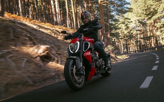 Verleihmotorrad Ducati Diavel V4 vom Händler MOTO WARMUTH GMBH - Bild 6