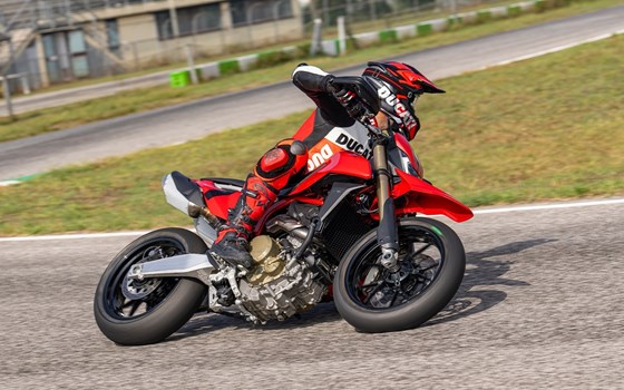 Verleihmotorrad Ducati Hypermotard 698 Mono vom Händler MOTO WARMUTH GMBH - Bild 8