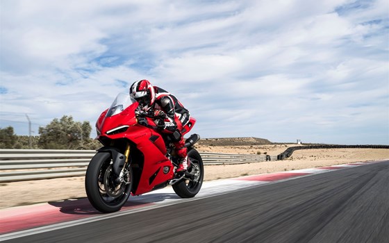 Verleihmotorrad Ducati Panigale V2 S vom Händler MOTO WARMUTH GMBH - Bild 4
