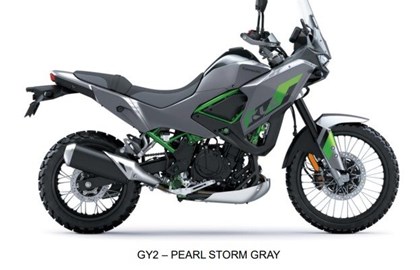 Leihmotorrad Kawasaki KLE500 SE