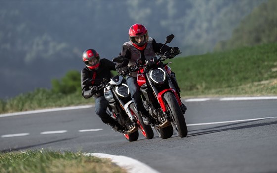 Verleihmotorrad Ducati Monster + vom Händler Motorpark Schrembs - Bild 2