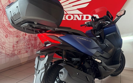 Verleihmotorrad Honda Forza 125 vom Händler Motorradhaus R. & V. Krapp OHG - Bild 6