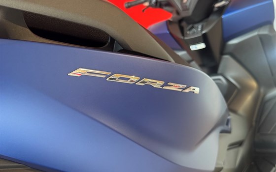 Verleihmotorrad Honda Forza 125 vom Händler Motorradhaus R. & V. Krapp OHG - Bild 3