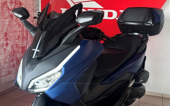 Verleihmotorrad Honda Forza 125 vom Händler Motorradhaus R. & V. Krapp OHG - Bild 4