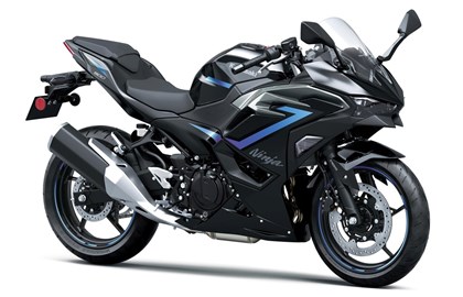 Leihmotorrad Kawasaki Ninja 500 SE