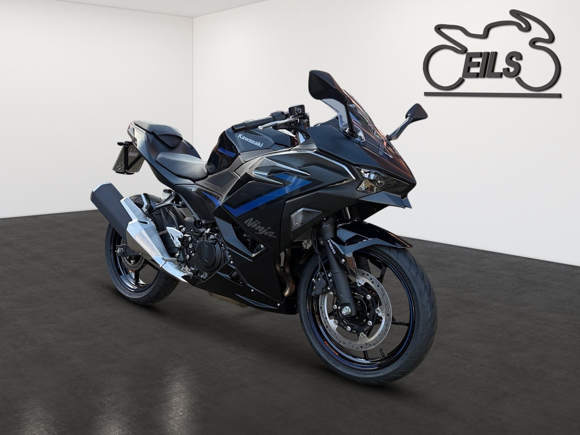 Kawasaki Ninja 500 SE