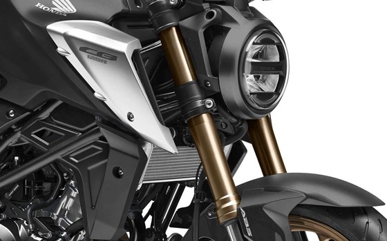 Verleihmotorrad Honda CB125R vom Händler Motorrad Center Schmitz - Peters GmbH - Bild 7