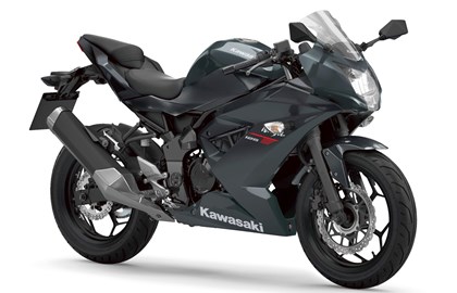 Leihmotorrad Kawasaki Ninja 125