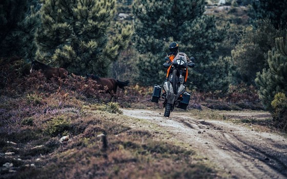 Verleihmotorrad KTM 890 Adventure vom Händler Motorrad Ruser - Bild 12