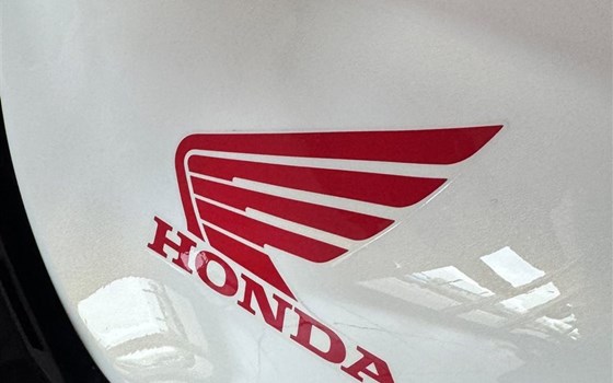 Verleihmotorrad Honda CB500 Hornet vom Händler Motorradhaus R. & V. Krapp OHG - Bild 5