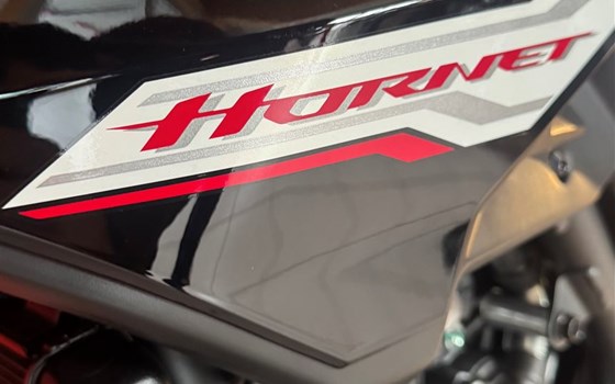 Verleihmotorrad Honda CB500 Hornet vom Händler Motorradhaus R. & V. Krapp OHG - Bild 6