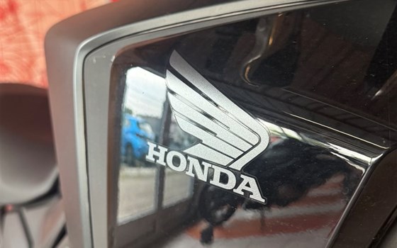 Verleihmotorrad Honda NX500 vom Händler Motorradhaus R. & V. Krapp OHG - Bild 7