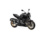 Verleihmotorrad Triumph Trident 800 vom Händler Zweirad-Center Nuber GmbH