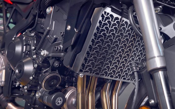 Verleihmotorrad Honda CB1000 Hornet vom Händler Goos GmbH & Co. KG - Bild 14