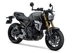 Verleihmotorrad Suzuki GSX-8T vom Händler BKM Bikes Handels GmbH