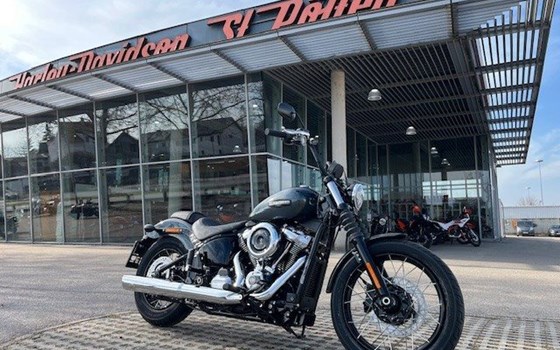 Verleihmotorrad Harley-Davidson Softail Street Bob FXBB vom Händler Motorradhandel GmbH - Bild 2