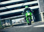 Verleihmotorrad Kawasaki Ninja 125 vom Händler Motorrad Hofmann Monsheim