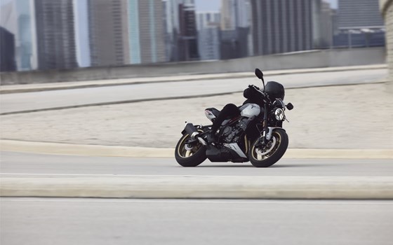 Verleihmotorrad Triumph Trident 800 vom Händler TRIUMPH Chemnitz Böttger und Budach OHG - Bild 3