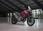 Verleihmotorrad Triumph Tiger 1200 GT PRO vom Händler Warm Up Zweiradtechnik GmbH