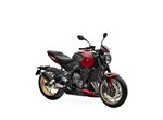 Verleihmotorrad Triumph Trident 800 vom Händler Warm Up Zweiradtechnik GmbH