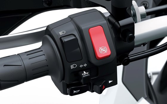 Verleihmotorrad Kawasaki KLE500 SE vom Händler Motorrad-HOLZNER - Bild 9