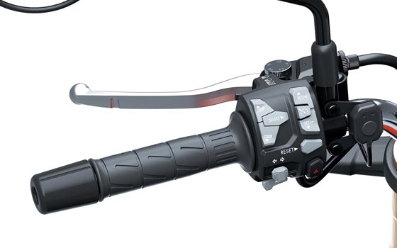 Verleihmotorrad Kawasaki Z900 RS vom Händler Motorrad-HOLZNER - Bild 5