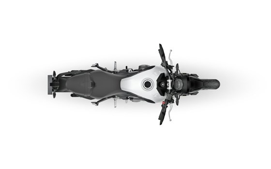 Verleihmotorrad Triumph Trident 660 vom Händler Motorradklinik GmbH - Bild 6