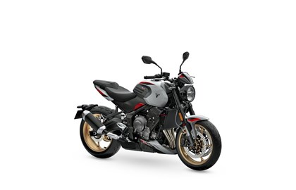 Leihmotorrad Triumph Trident 800