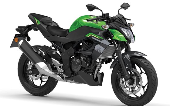 Verleihmotorrad Kawasaki Z125 vom Händler Motorrad Briel GmbH - Bild 8
