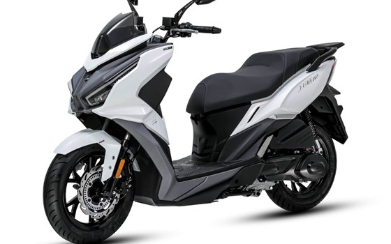 Verleihmotorrad Sym Jet 14 EVO vom Händler Motorrad-Hermann-Jr. - Bild 1