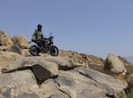 Verleihmotorrad Triumph Scrambler 400 X vom Händler Zweirad-Center Nuber GmbH
