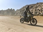 Verleihmotorrad Triumph Scrambler 400 X vom Händler Zweirad-Center Nuber GmbH