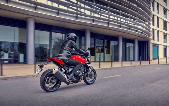 Verleihmotorrad Honda CB1000 Hornet vom Händler Motorrad Geisenhofer GmbH & Co. KG  - Bild 4