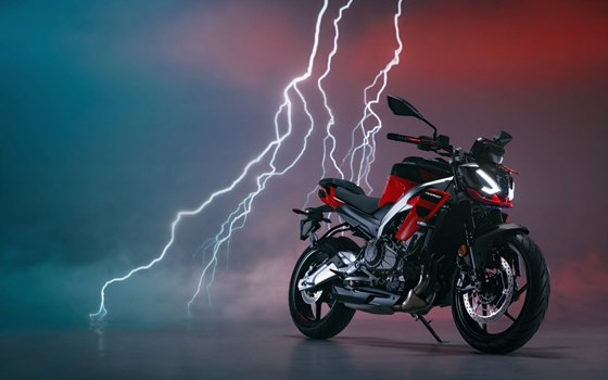 Verleihmotorrad Aprilia Tuono 457 vom Händler Schwarz Motorized - Bild 10
