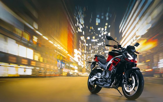 Verleihmotorrad Aprilia Tuono 457 vom Händler Schwarz Motorized - Bild 8