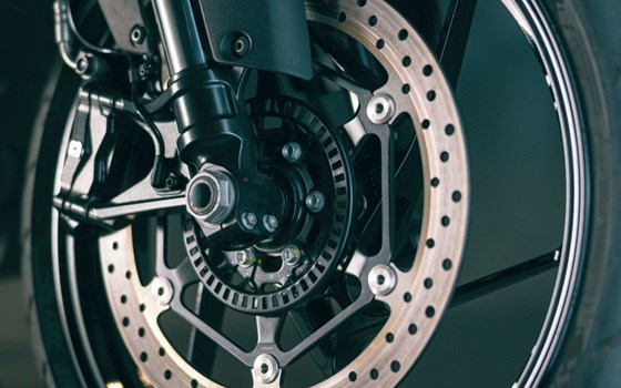 Verleihmotorrad Aprilia Tuono 457 vom Händler Schwarz Motorized - Bild 9