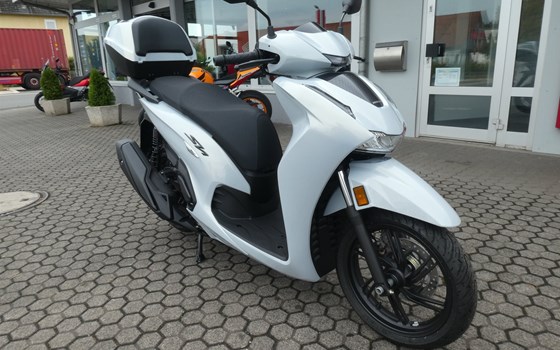 Verleihmotorrad Honda SH350i vom Händler Zweirad-Center Zöller - Bild 1