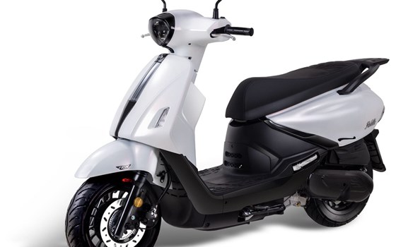 Verleihmotorrad Sym Fiddle 125 vom Händler Motorrad-Hermann-Jr. - Bild 1