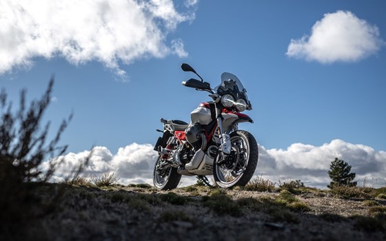 Verleihmotorrad Moto Guzzi V85 TT vom Händler Sauer & Freuding GbR TOPSPEED Motorradwelt Trier - Bild 6