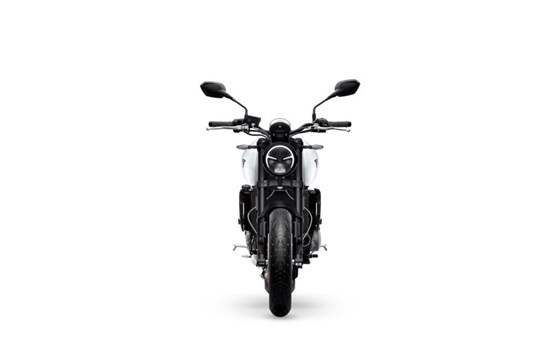 Verleihmotorrad Triumph Trident 660 vom Händler Motorrad Mayer - Bild 15