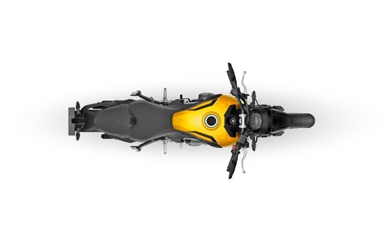 Verleihmotorrad Triumph Trident 660 vom Händler Motorrad Mayer - Bild 16