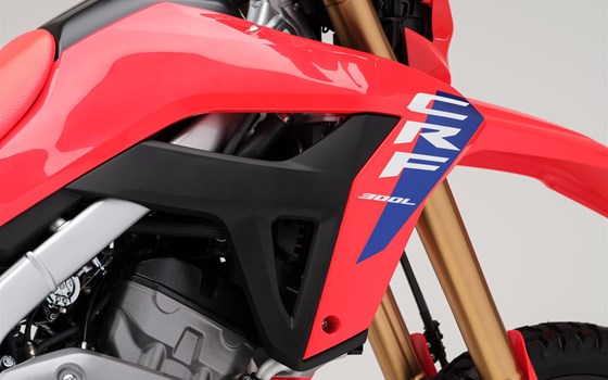 Verleihmotorrad Honda CRF300L vom Händler Andreas Schmidinger e.U. - Bild 16