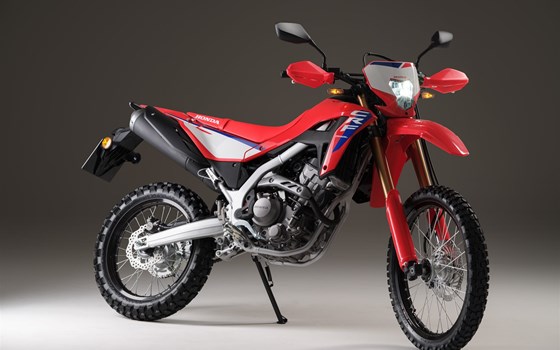 Verleihmotorrad Honda CRF300L vom Händler Andreas Schmidinger e.U. - Bild 6
