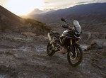 Verleihmotorrad Triumph Tiger 900 Desert Edition vom Händler Zweirad-Center Nuber GmbH