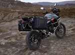 Verleihmotorrad Triumph Tiger 900 Desert Edition vom Händler Zweirad-Center Nuber GmbH