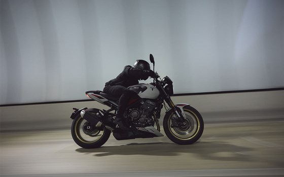 Verleihmotorrad Triumph Trident 800 vom Händler Viking Cycles GmbH Lübeck - Bild 16