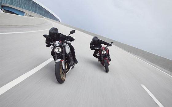Verleihmotorrad Triumph Trident 800 vom Händler Viking Cycles GmbH Lübeck - Bild 5