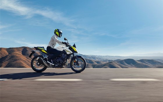 Verleihmotorrad Honda CB500 Hornet E-Clutch vom Händler Biker Stable GmbH & Co. KG - Bild 11