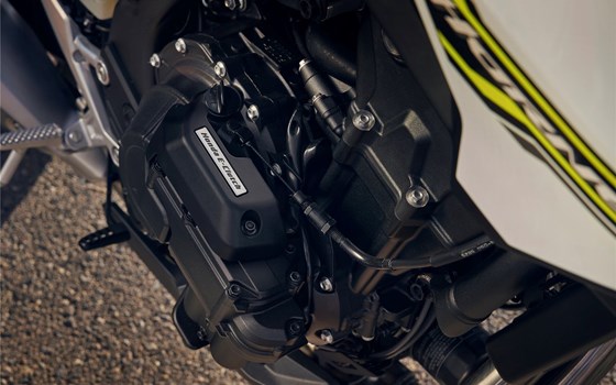 Verleihmotorrad Honda CB500 Hornet E-Clutch vom Händler Biker Stable GmbH & Co. KG - Bild 3