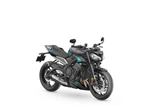 Verleihmotorrad Triumph Street Triple 765 RS vom Händler Warm Up Zweiradtechnik GmbH